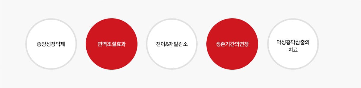 효과적인 종양치료